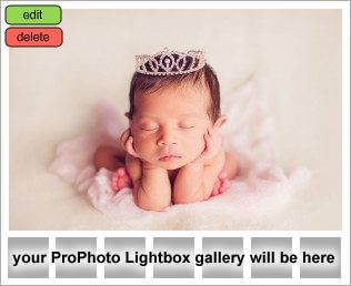 NEPA & Bloomsburg, PA newborn photographer