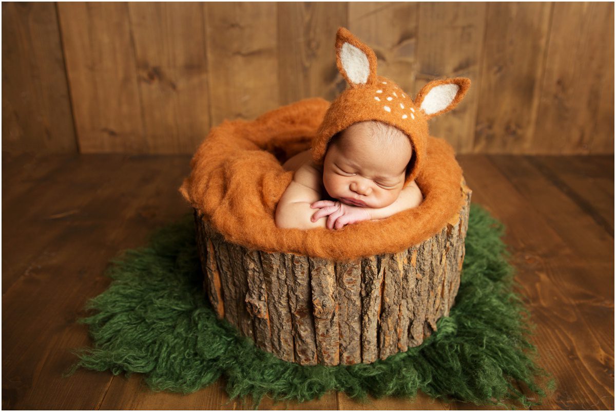 orange-studio-newborn-photographer baby deer