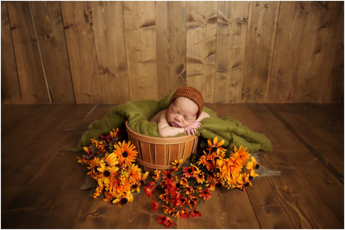 orange-studio-newborn-photographer baby in a basket