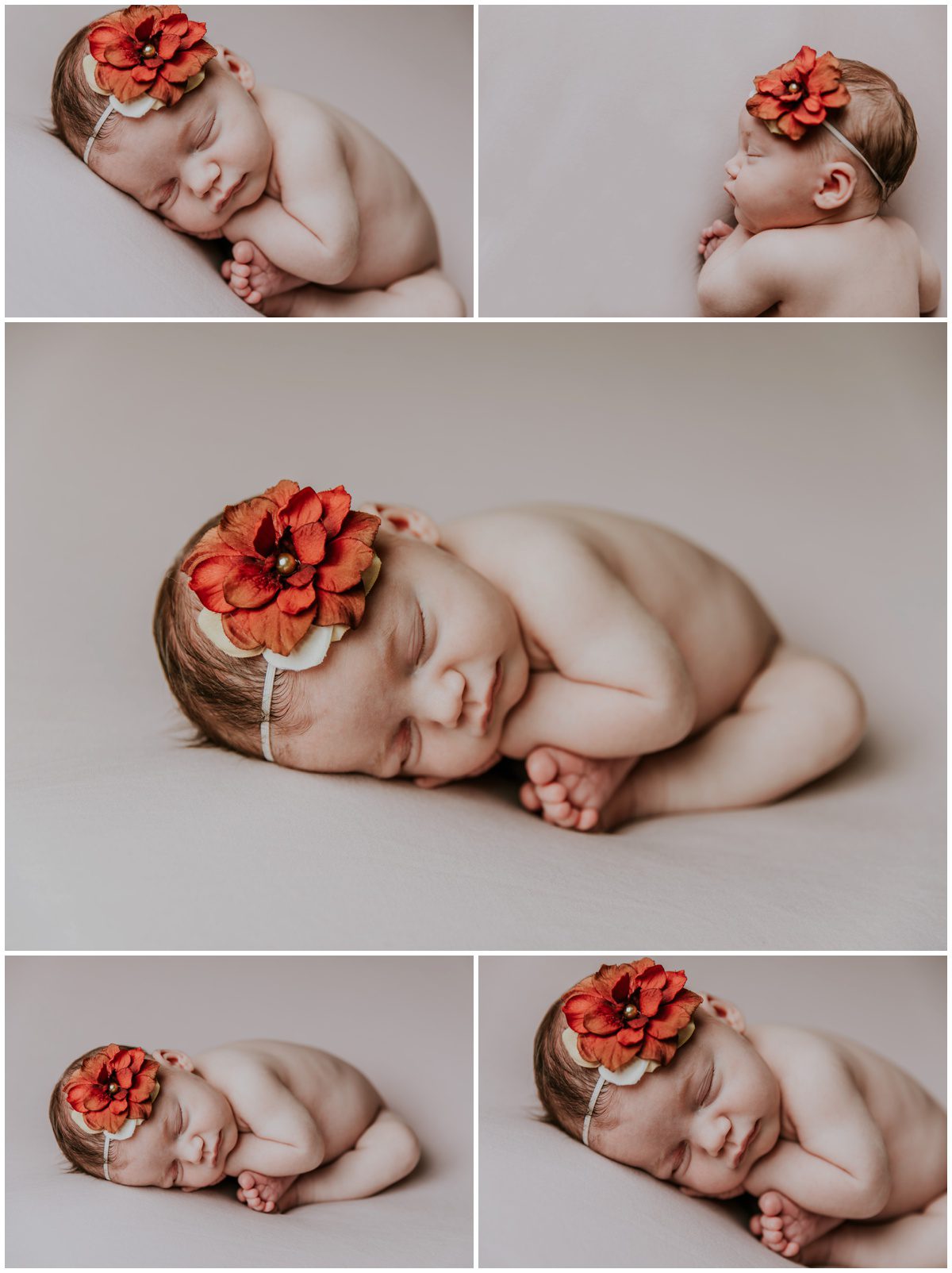 Hazleton Newborn Photography womb pose