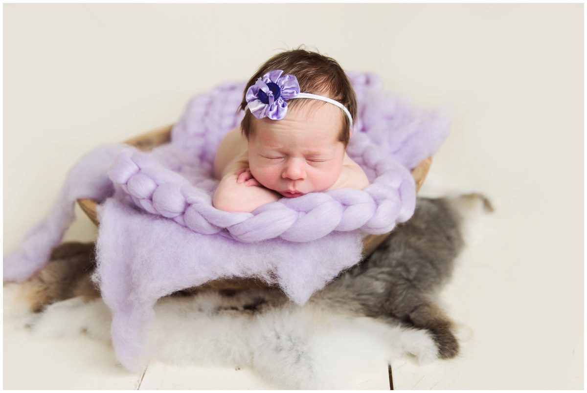 Berwick PA Newborn Photography purple rabbit fur