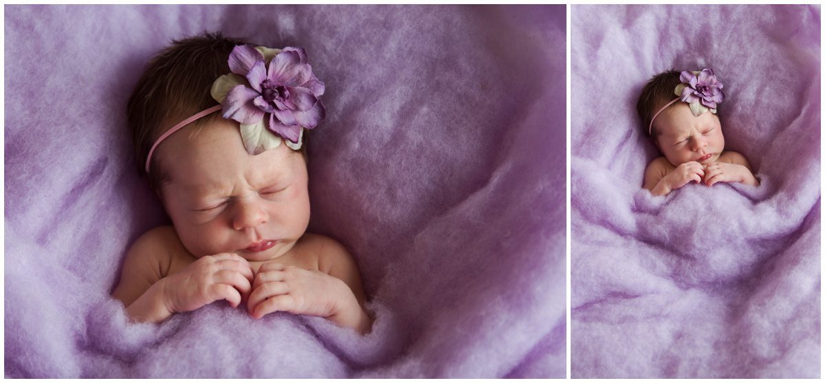 Berwick, PA Newborn Photography purple wrap