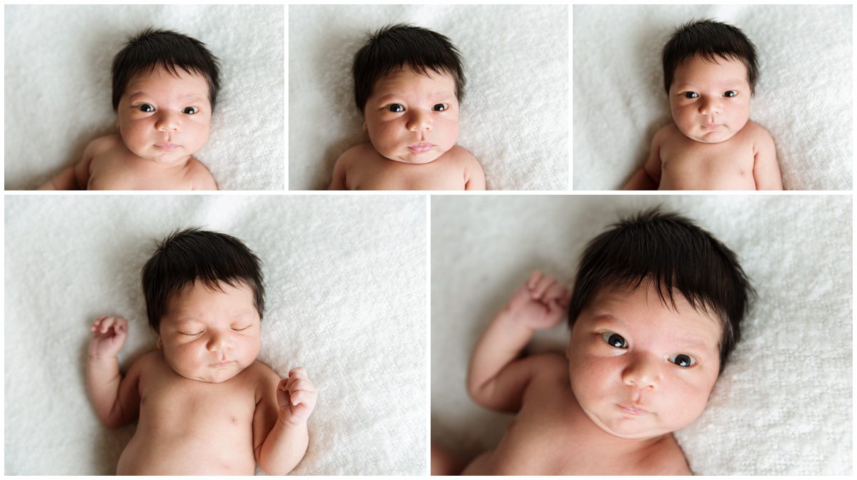 awake baby portrait Scranton Newborn Studio Photographer