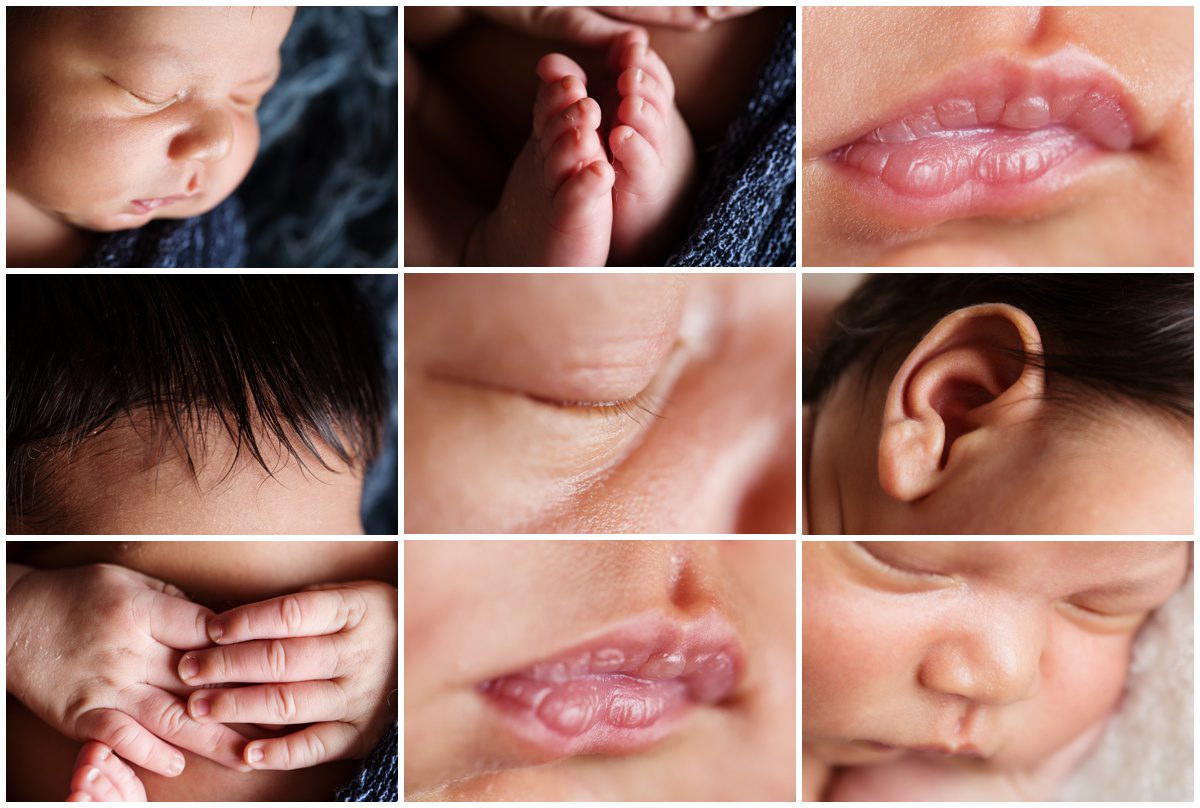 Scranton Newborn Studio Photographer baby tiny features