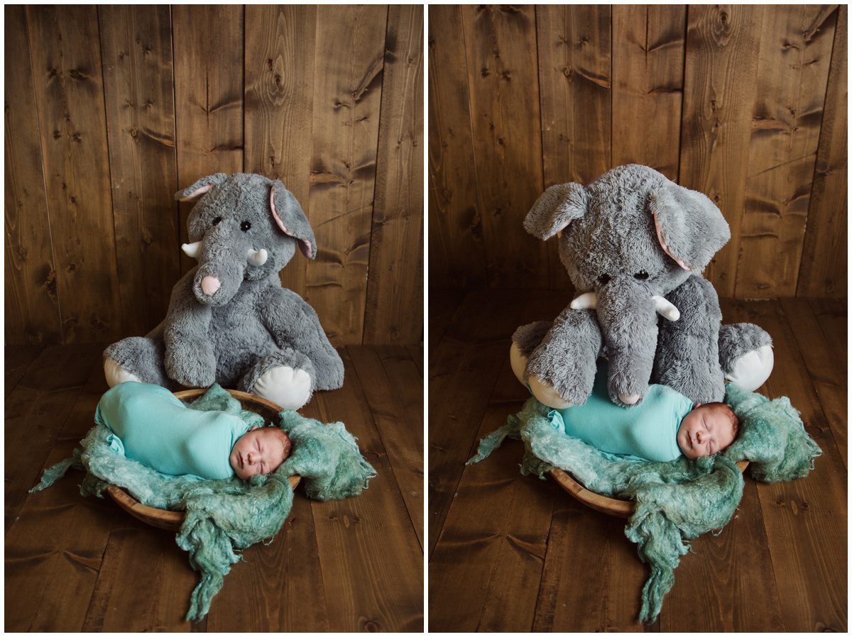 Danville, PA Newborn Photographer elephant toy