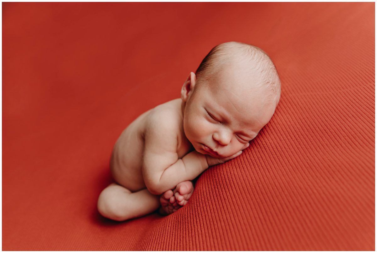 Bloomsburg PA, Newborn Photographer baby portraits