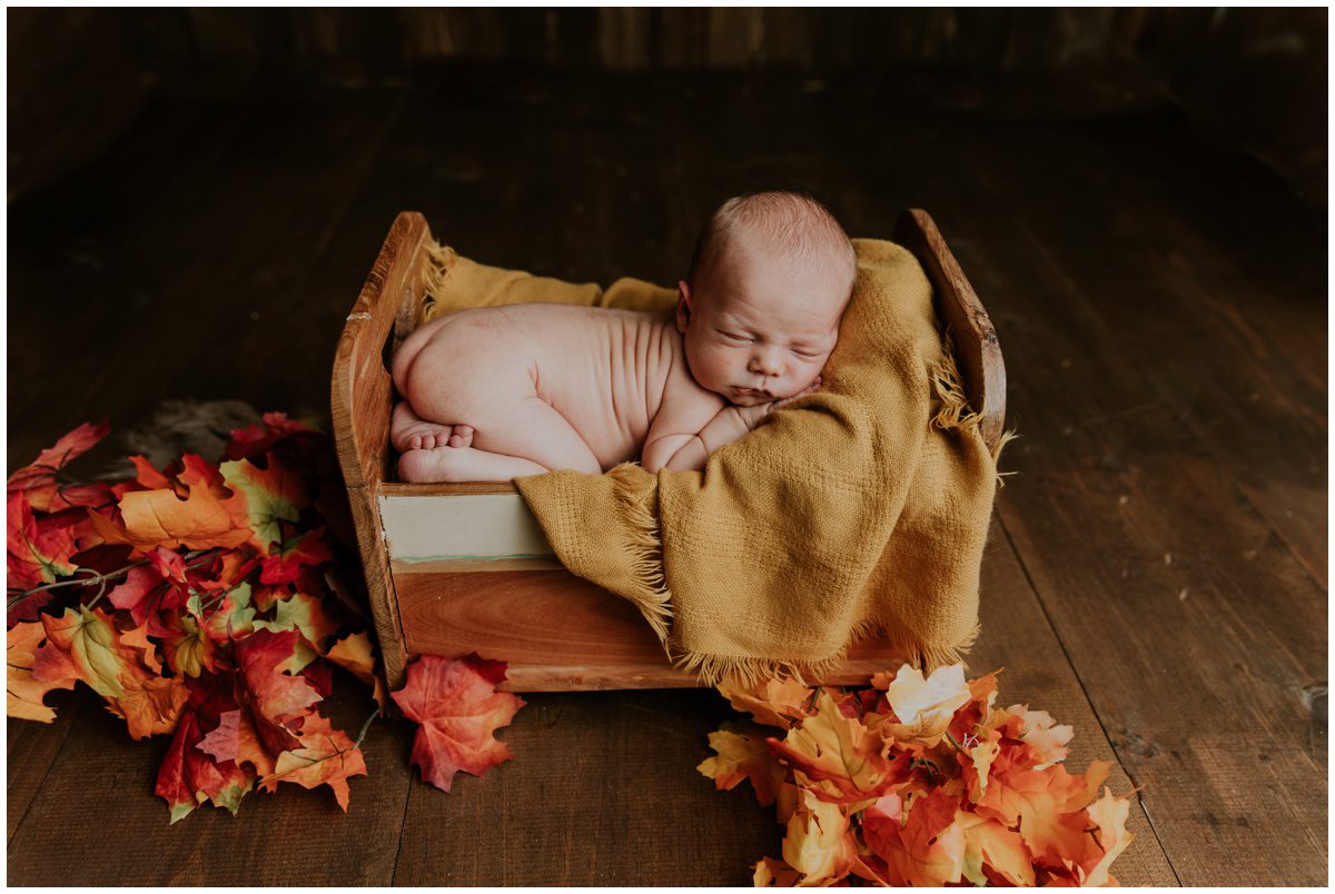 fall leaves Bloomsburg PA, Newborn Photographer