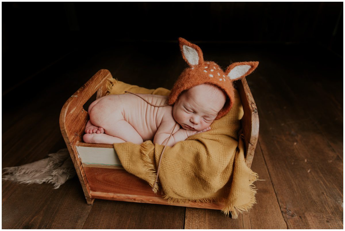 Bloomsburg PA, Newborn Photographer baby deer