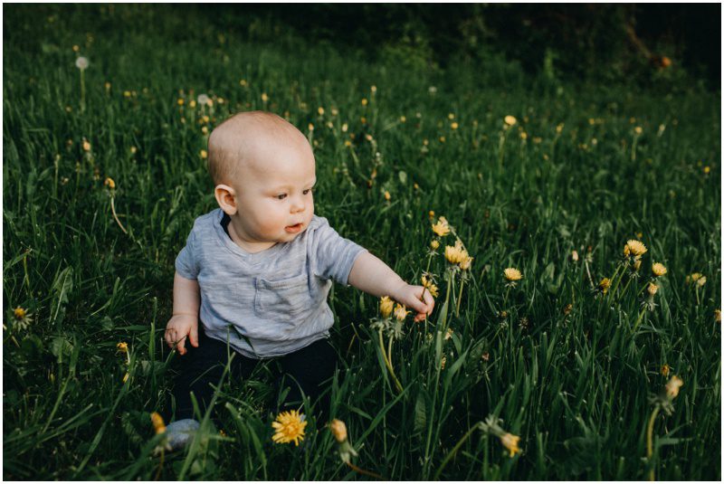 baby boy in flowers, Beautiful Spring Family Portraits in Bloomsburg, Pennsylvania
