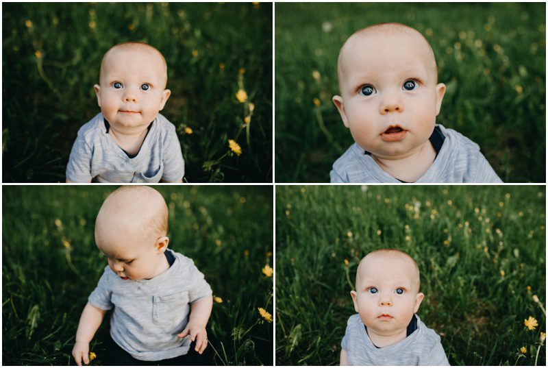 blue eyed baby boy in flowers,Beautiful Spring Family Portraits in Bloomsburg, Pennsylvania