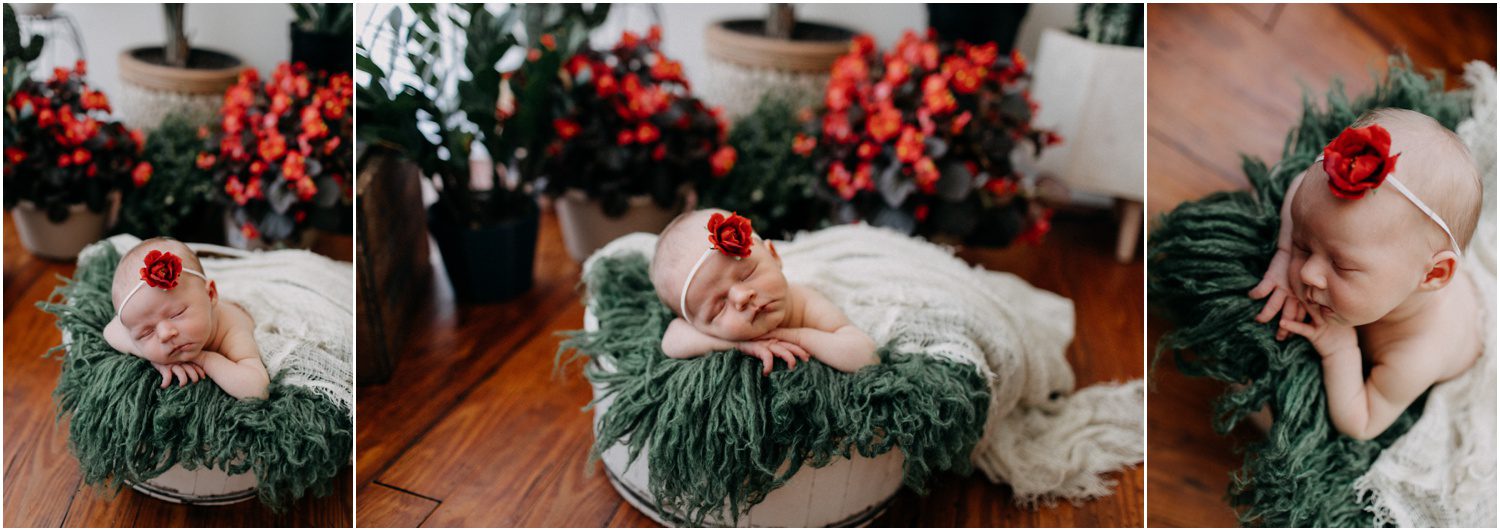 Scranton Newborn Photographer, baby photographed in flowers