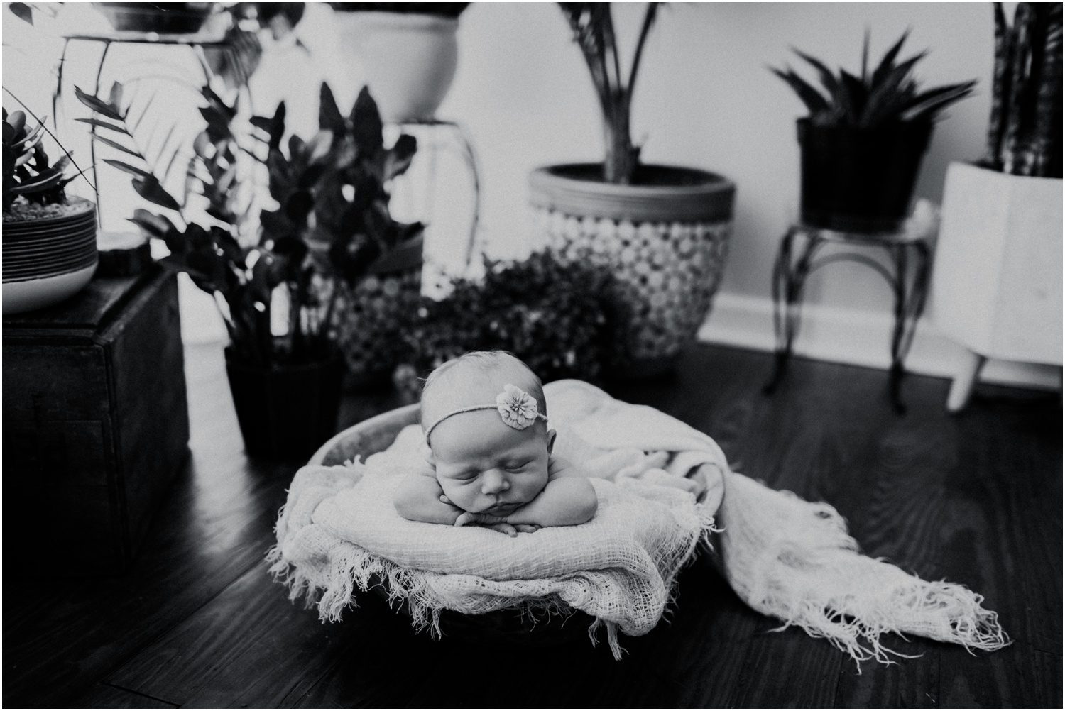 Scranton Newborn Photographer, baby photographed in plants