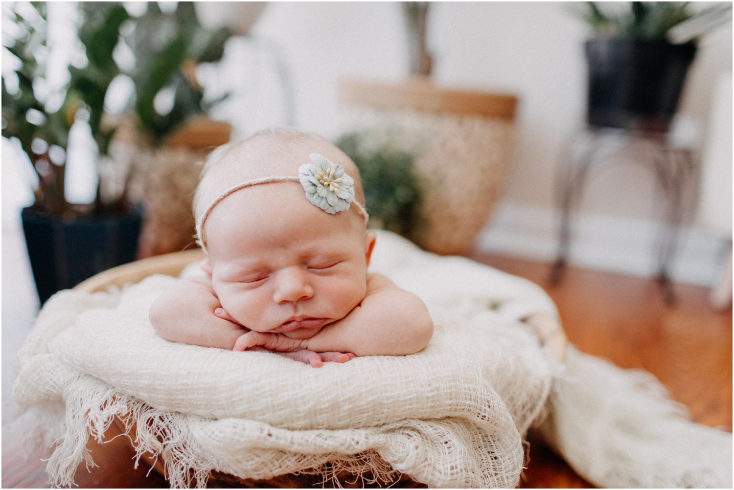 Scranton Newborn Photographer, little girl in a basket with a flower headband
