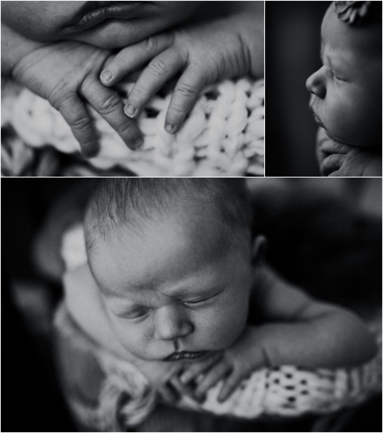 Scranton Newborn Photographer, black and white small baby hands