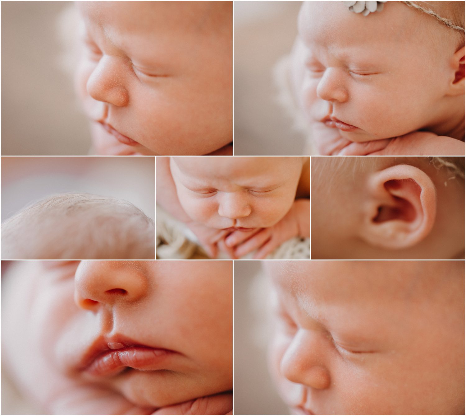 Scranton Newborn Photographer, studio newborn photography