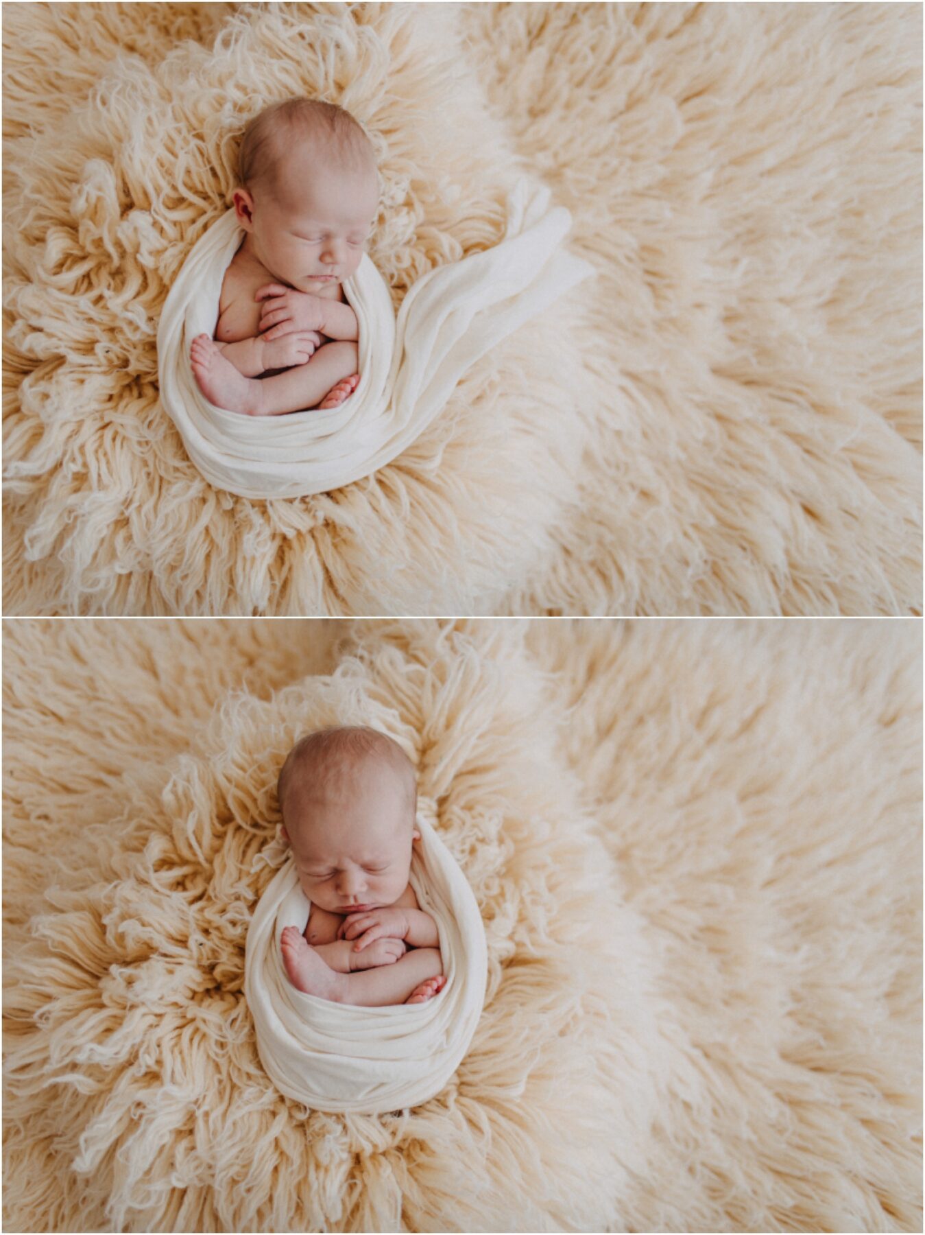 womb like wrapped newborn, Newborn Portrait Studio Near Scranton, PA