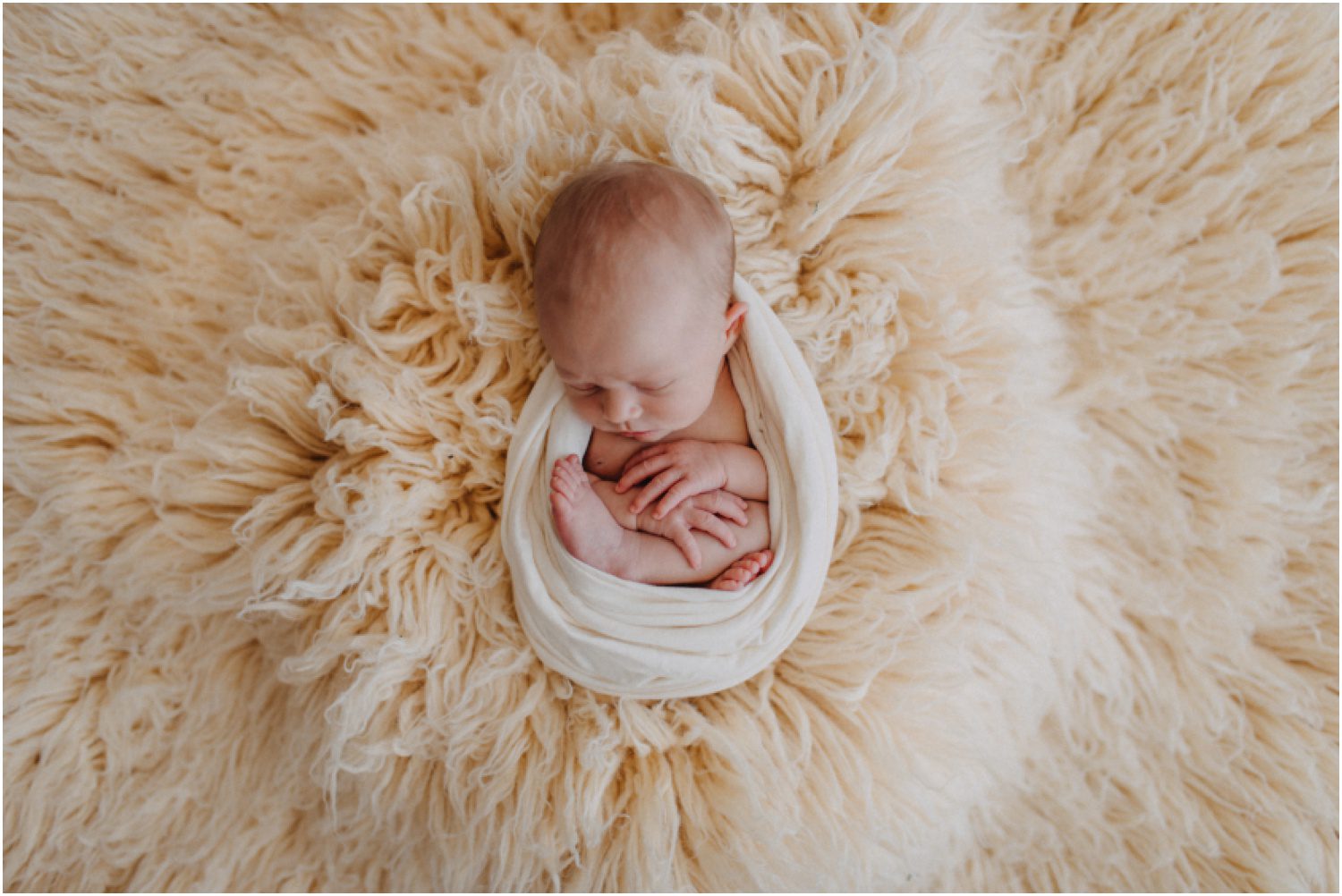 Newborn Portrait Studio Near Scranton, PA, baby wrapped like in womb