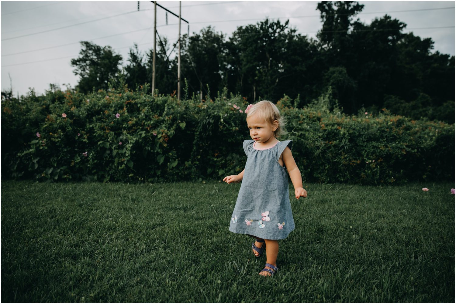 Northeast Creek Park, North Carolina, Destination Family Photographer, little girl playing