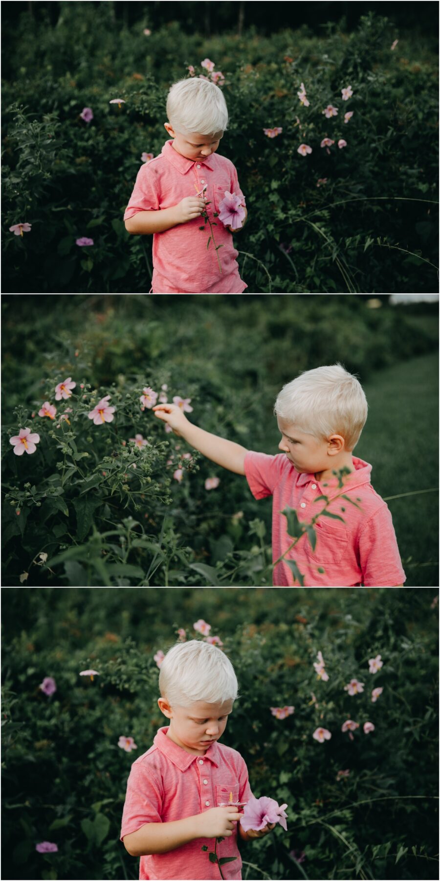 boy picking flowers portrait, Northeast Creek Park, North Carolina, Destination Family Photographer
