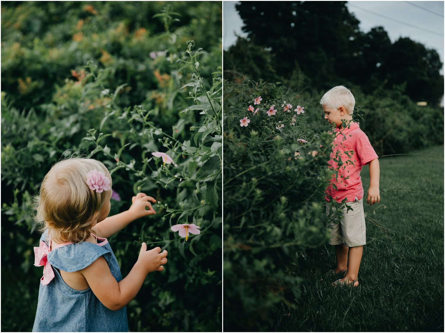 children picking flowers, Northeast Creek Park, North Carolina, Destination Family Photographer