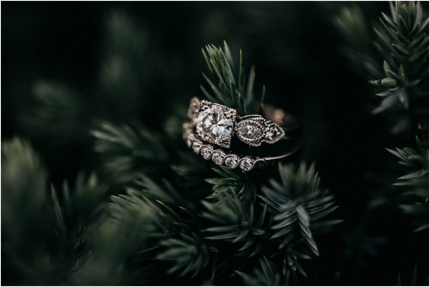 Riverview Country Club Wedding, Central Pennsylvania Wedding Photographer, wedding ring close up photo