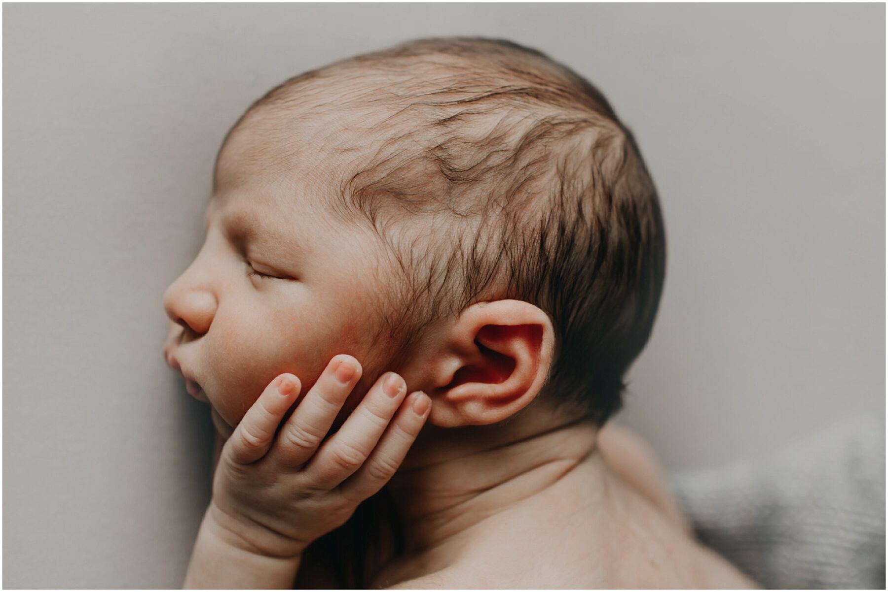 close up of newborn baby fingers, Central Pennsylvania Newborn Photographer